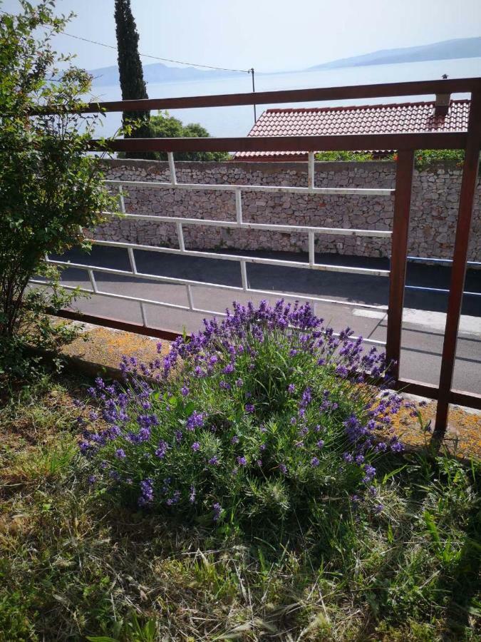 Apartmani Krijesnica セニ エクステリア 写真